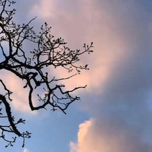 Meet your Posher, Aislinn